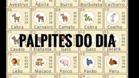 jogo do bicho palpite,palpite jogo do bicho google